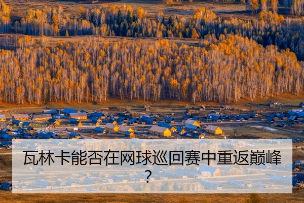 wa-lin-ka-neng-fou-zai-wang-qiu-xun-hui-sai-zhong-chong-fan-dian-feng-1-205.jpg